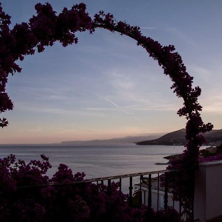 Villa Eliodora - Due Appartamenti 아렌자노 외부 사진