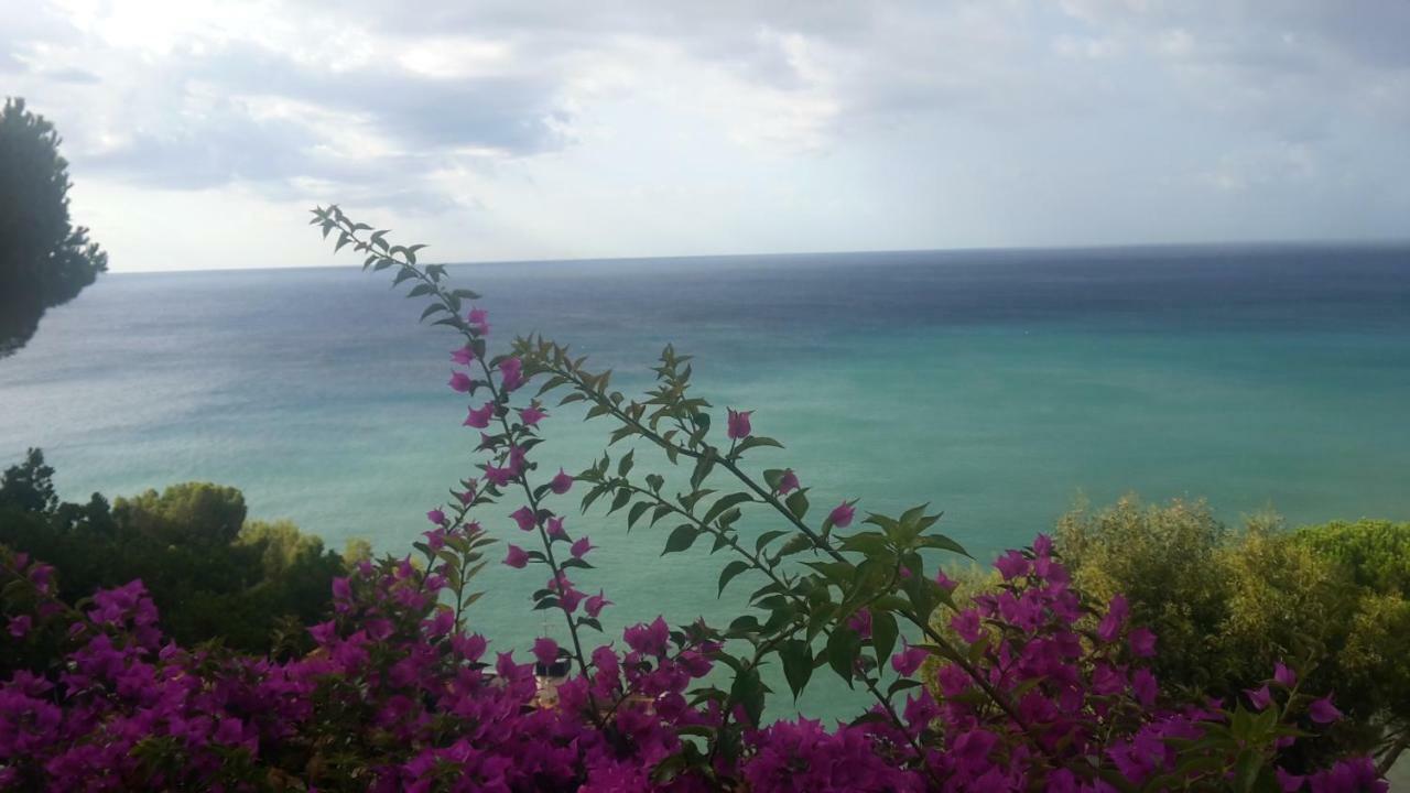 Villa Eliodora - Due Appartamenti 아렌자노 외부 사진