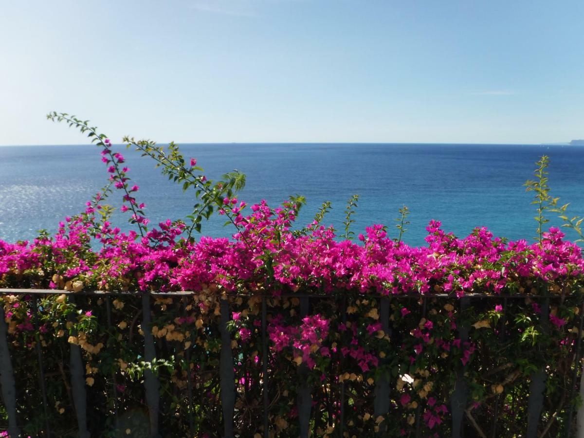 Villa Eliodora - Due Appartamenti 아렌자노 외부 사진
