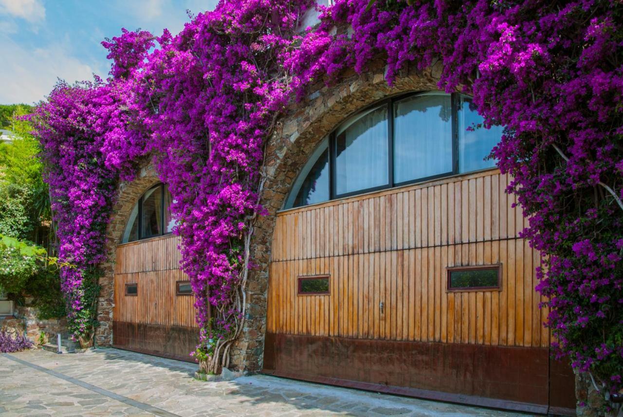 Villa Eliodora - Due Appartamenti 아렌자노 외부 사진